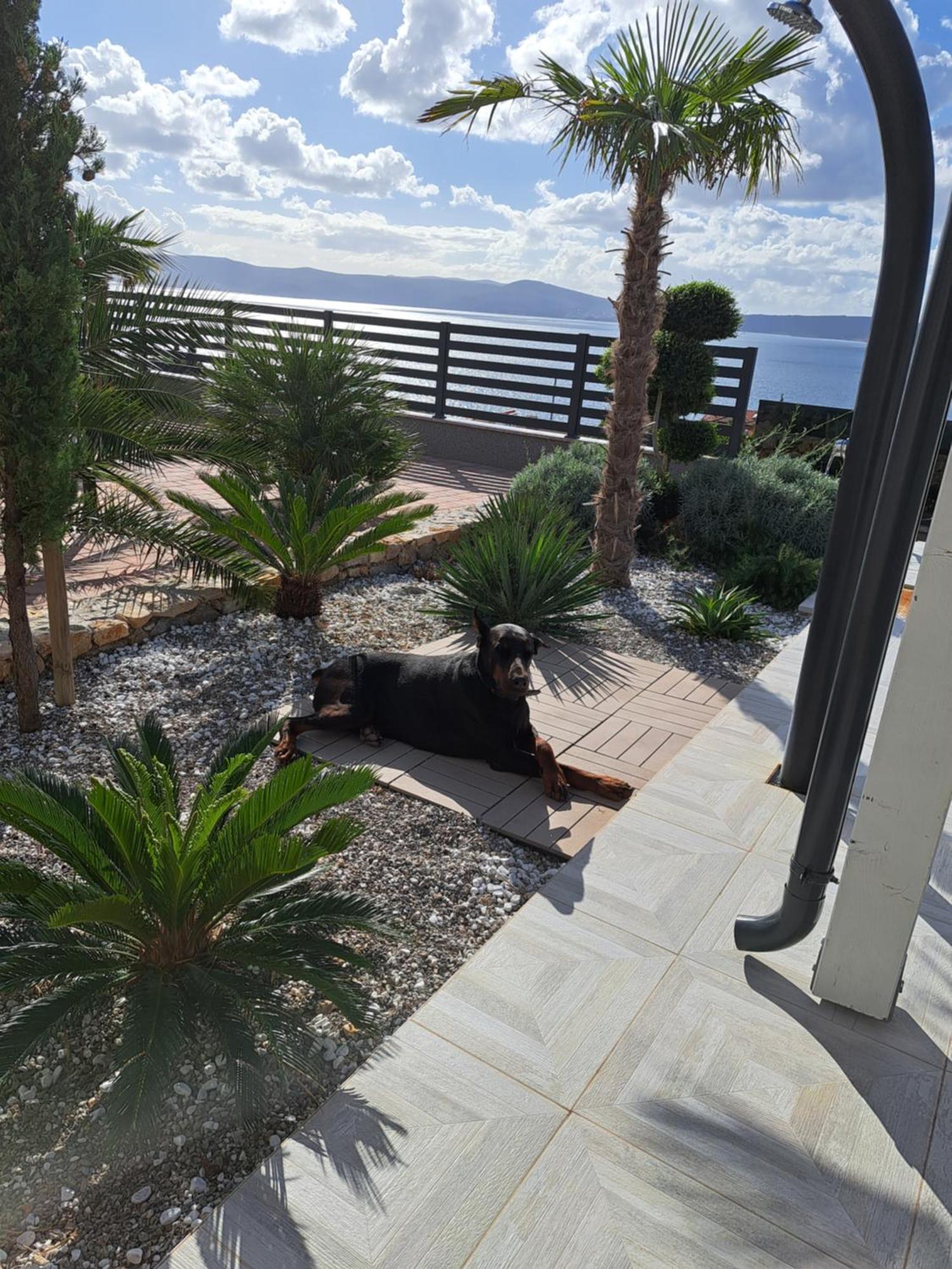 Villa Belissima Vista Mare Selce Esterno foto